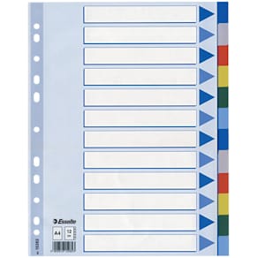 Register Esselte, A4, blanko, bunt, 12-teilig