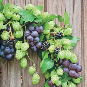 Serviette Stewo, Herbstmotiv, 33x33cm, 12 Stück