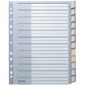 Register Leitz Plastik, A4, blanko, 12-teilig, grau