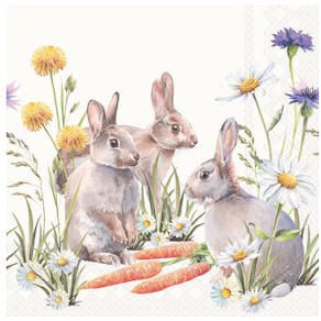 Motivserviette Ambiente, Frühling, 25 x 25 cm, Karotte