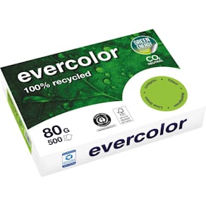 Papier Clairefontaine Evercolor, gerecycled, gekleurd, A4, 80 g/m