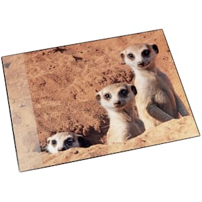 Schreibunterlage Läufer Motivposter, Motiv Erdmännchen