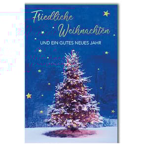 Weihnachtskarte Braun + Company D.T.