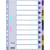 Tabbladen Esselte, 10 tabs, A4, PP, 115 micron, assorti