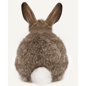 Serviette ATELIER, Oster-Motiv, 33 x 33 cm