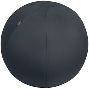 Sitzball Leitz Active, Ø 65 cm, samtgrau