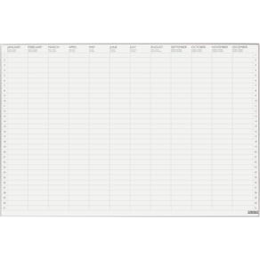 Jaarplanner Desq Ultra Thin, magnetisch, ft 60 x 90 cm