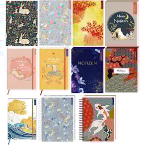 Notizbuch ARS EDITION myNotes FJ25, 11er-Set, sortiert