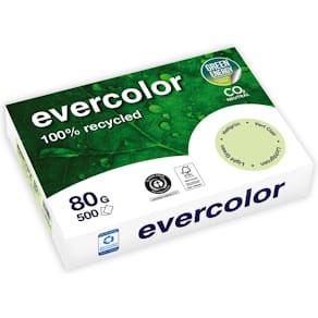 Kopierpapier Clairefontaine Evercolor, A4, 80 g, 500 Bl, hellgrün