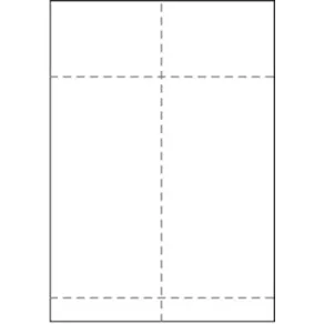 Transportetikett Laser, 104x268mm, 500/fp
