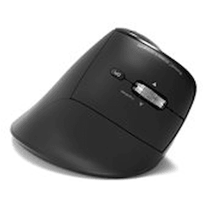 PORT - Mus - ergonomisk - optisk - 6 knappar - trådlös - 2.4