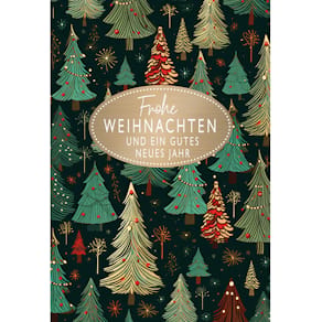Geldscheinkarte Noname, Weihnachten, bunt, mit Umschlag