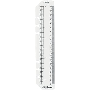 Ersatzeinlage BSB Tagesanzeiger, A5, Universallochung