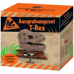 Ausgrabungsset moses. Verlag T‑Rex, Dino
