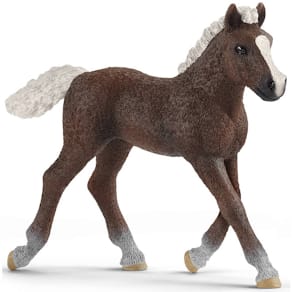 Spielzeugfigur Schleich Schwarzwälder Fohlen, 8 x 2,2 x 7,5 cm
