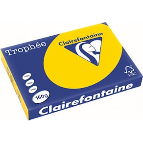 Gekleurd papier Clairefontaine Trophée Pastel, A3, 160 g, 250 vel