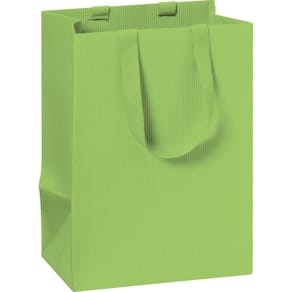 Geschenktragetasche Stewo Uni, hellgrün
