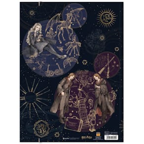 Gummizugmappe RNK Harry Potter, A3, bunt