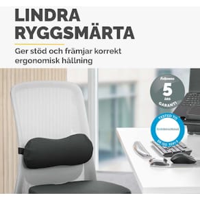 Svankstöd FELLOWES Breyta Lumbar
