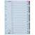 Register ESSELTE Mylar A4 A-Ö multifärgat