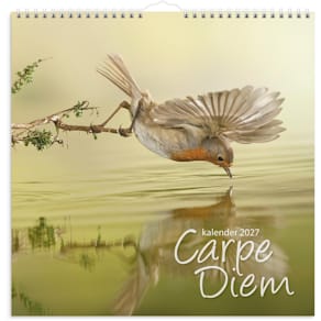 Burde Väggkalender Carpe Diem 2027