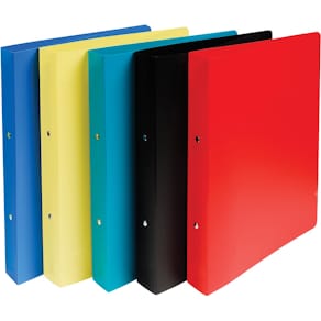 Ringmap Exacompta, ondoorschijnend, A4 maxi, PP, 2 ringen