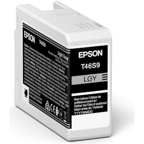 C13T46S900 Light grey Ink Cartridge