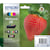 Assortiment aan kleuren
