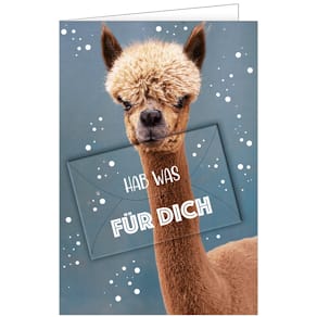 Glückwunschkarte Geldgeschenk