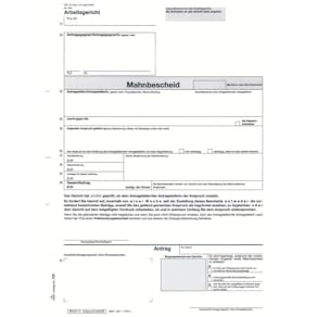 Mahnformular RNK A4, für Arbeitsgericht, selbstdurchschreibend, 6