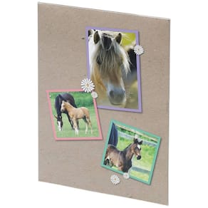 Briefmappe Rössler Pferde, 10 Blätter/10 Umschläge