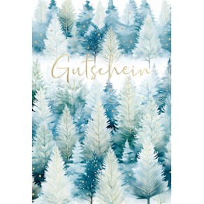 Gutscheinbillett Noname, Weihnachtsmotiv, bunt, inkl. Briefumsch