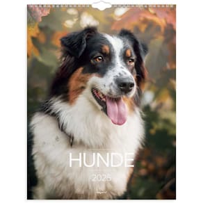 Kalender Mayland Hund 2026, assorteret, FSC Mix
