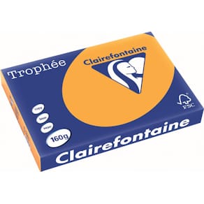 Gekleurd papier Clairefontaine Trophée Pastel, A3, 160 g, 250 vel