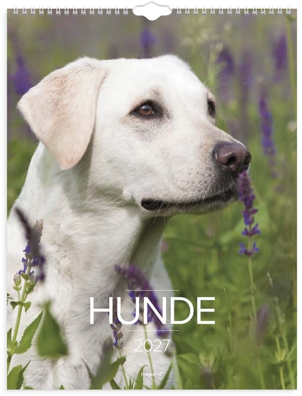 Produktbillede