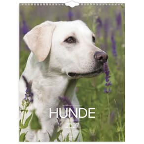 Vægkalender Mayland Photo Hund 2027, 295 x 394 mm, FSC