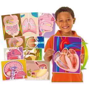 Vad gör min kropp? 10 delar