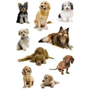 Herma stickers Decor hundar (3) 10st