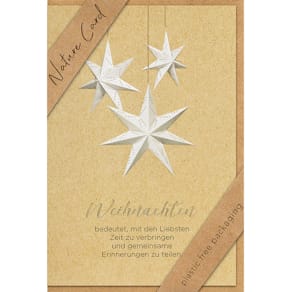 Weihnachtskarte BSB Nature Card, bunt, inkl. Umschlag, 11,5 x 17