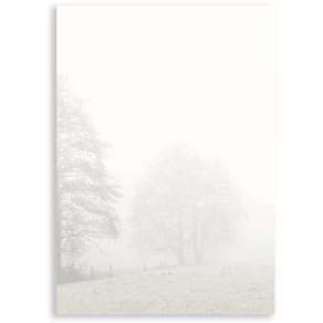 Designpapier Rössler, A4, 50 Blatt, 100 g/m²