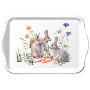 Tablett Ambiente Frühj., 13 x 21 cm, Karotten