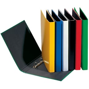 Ringbuch PAGNA Basic Colours, A4, farbig sortiert