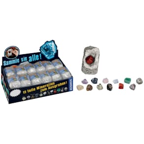 Ausgrabungsset KOSMOS Mineralien & Fossilien