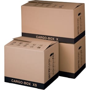Umzugskarton SMARTBOX PRO Cargobox, XS, braun, mit Grifflöchern