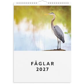 Väggkalender Fåglar 2027