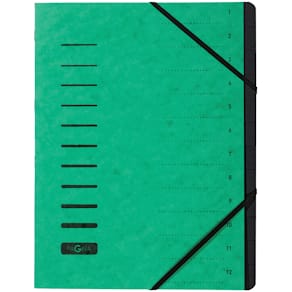 Ordnungsmappe PAGNA, 12-teilig, grün