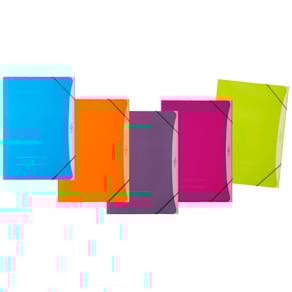 Gummizugmappe PAGNA Trend, A4, sortiert