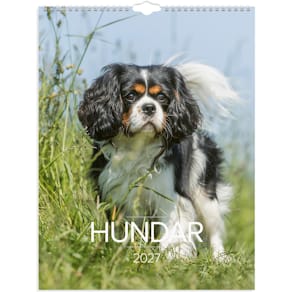 Burde Väggkalender Stora Hundkalendern 2027