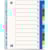 Tabbladen Oxford, A4 maxi, 1-12, gekleurd, 11-gaats