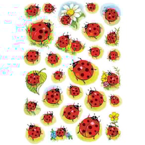 Schmucketiketten HERMA Marienkäfer & Blume